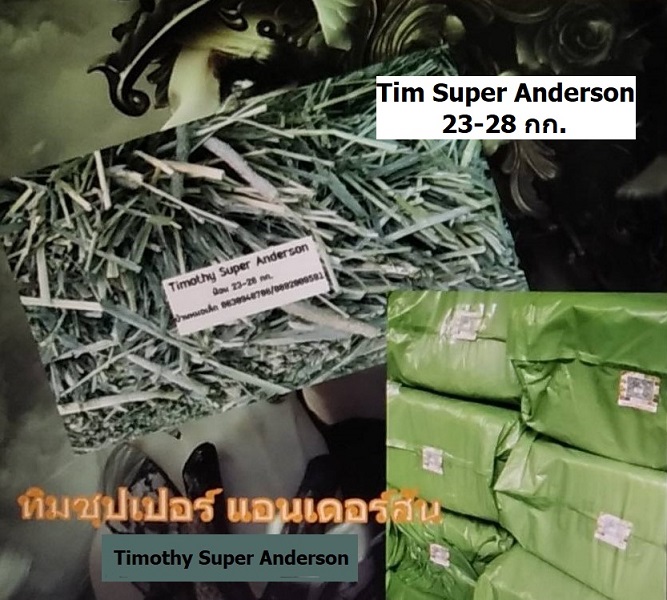 หญ้าทิโมธี อาหารหลักในม้า กระต่าย แพรี่ด้อกซ์ สัตว์ฟันแทะ 